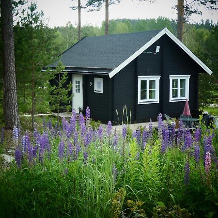 Froeya Timber Cottage Arvika Buitenkant foto