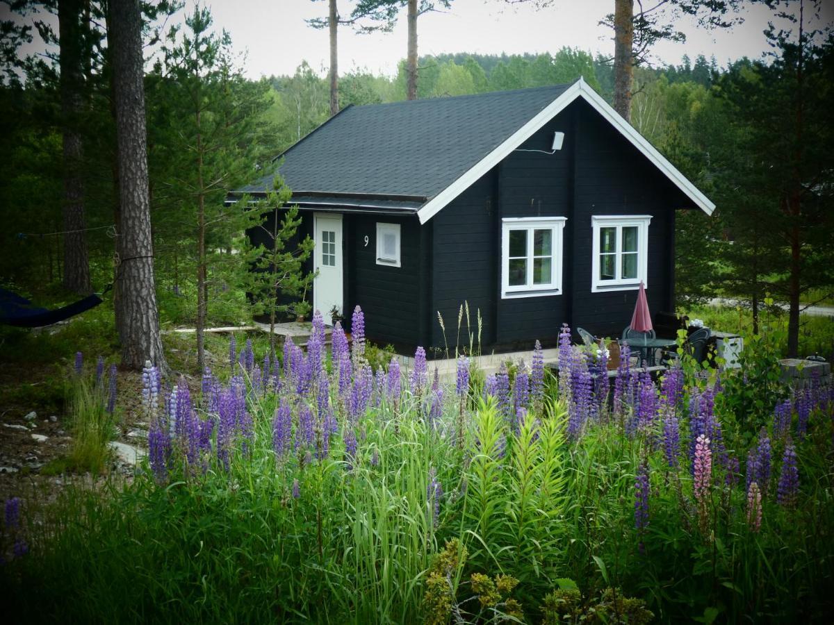 Froeya Timber Cottage Arvika Buitenkant foto
