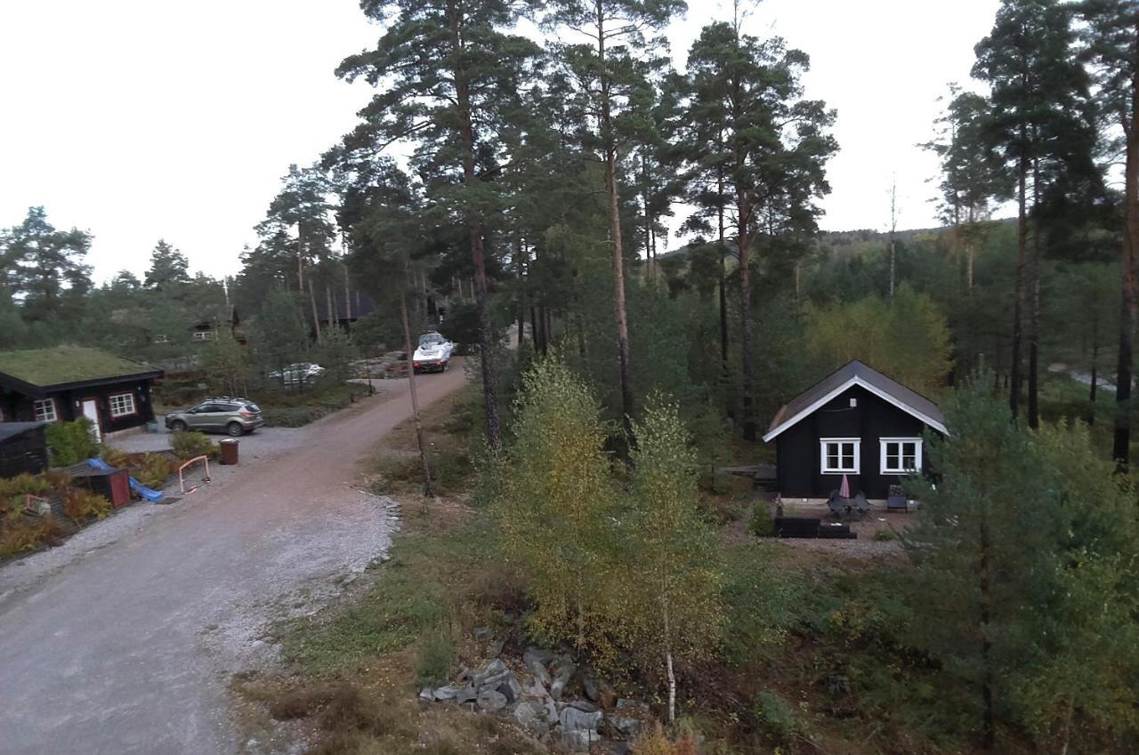 Froeya Timber Cottage Arvika Buitenkant foto